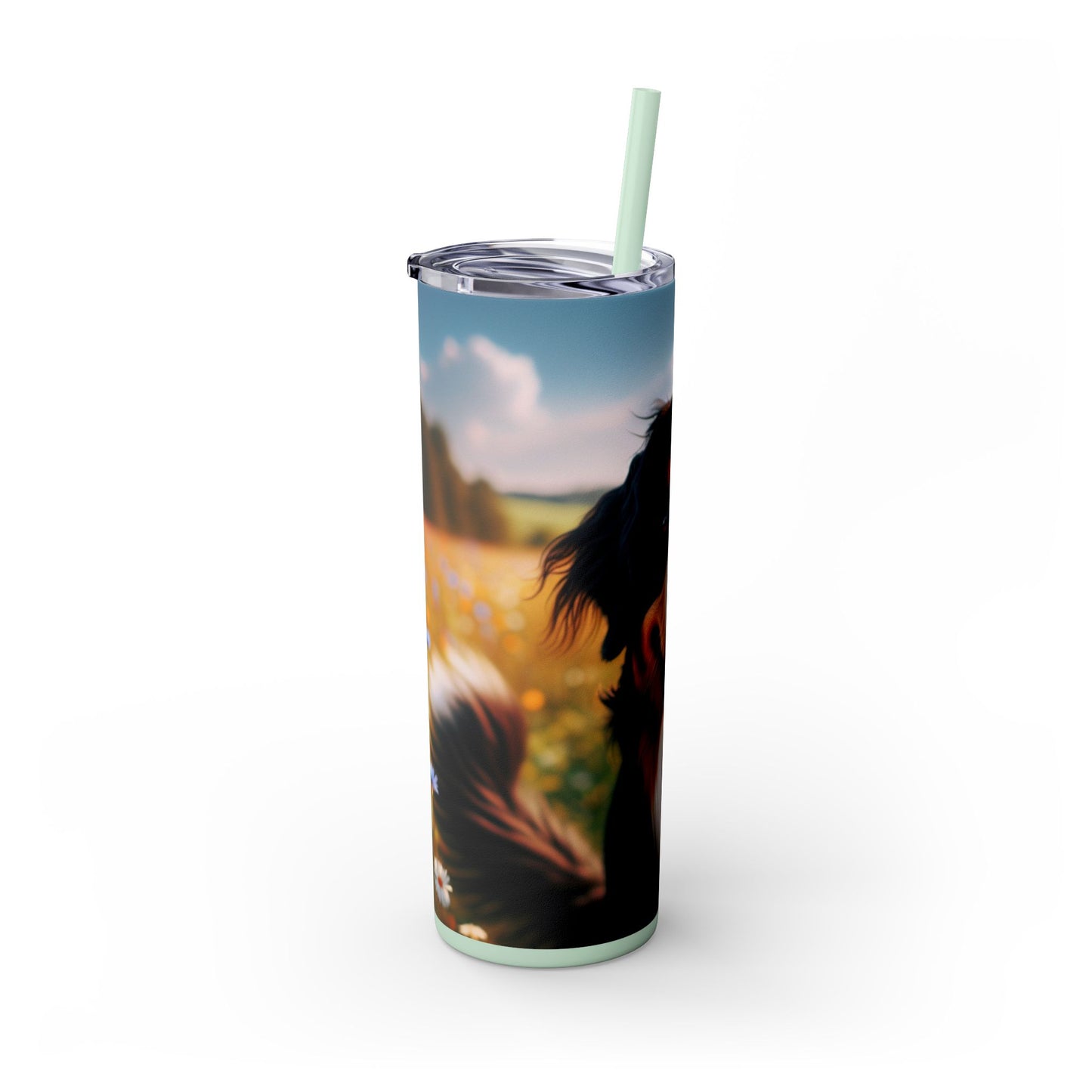 Bernese Mountain Dog Tumbler with Straw, 20oz