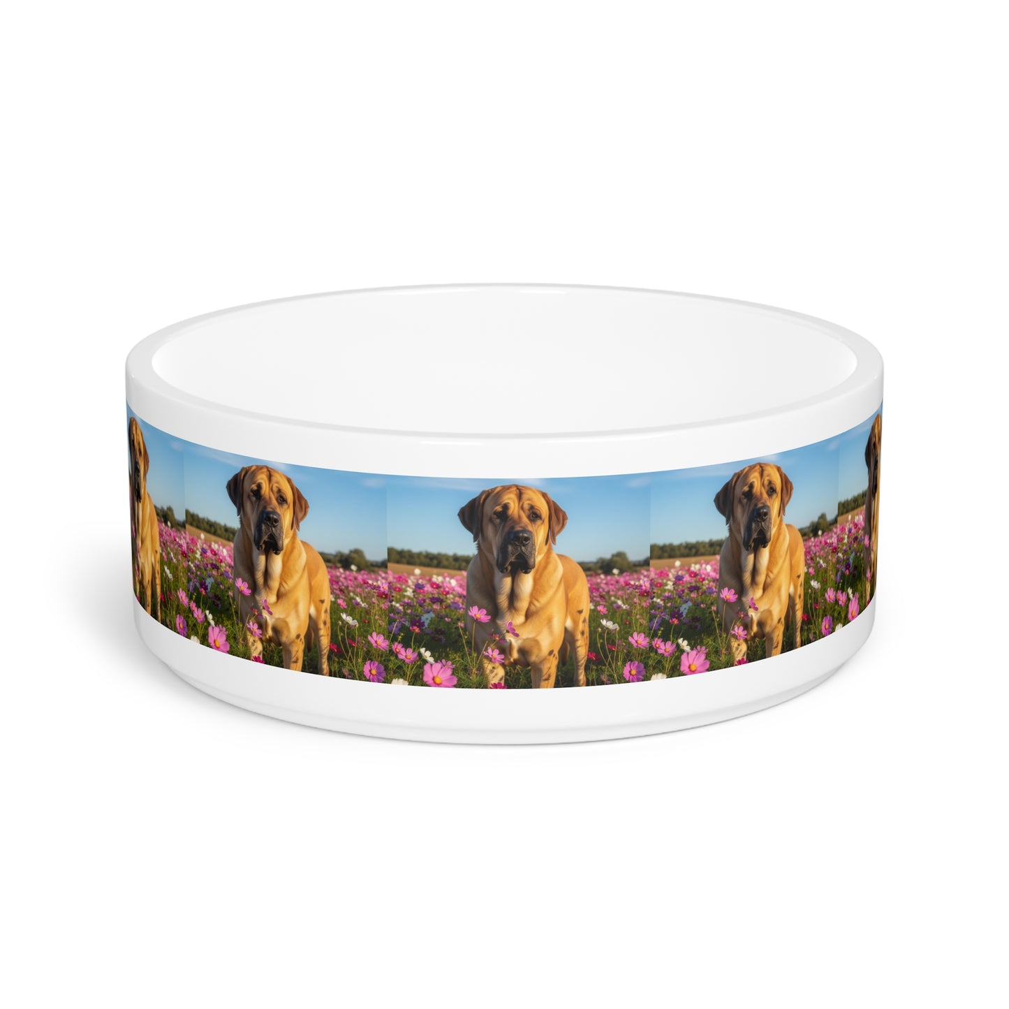 Ceramic Pet Bowl – 16 oz Dog Feeding Bowl