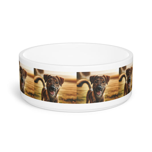 Ceramic Pet Bowl – 16 oz Dog Feeding Bowl