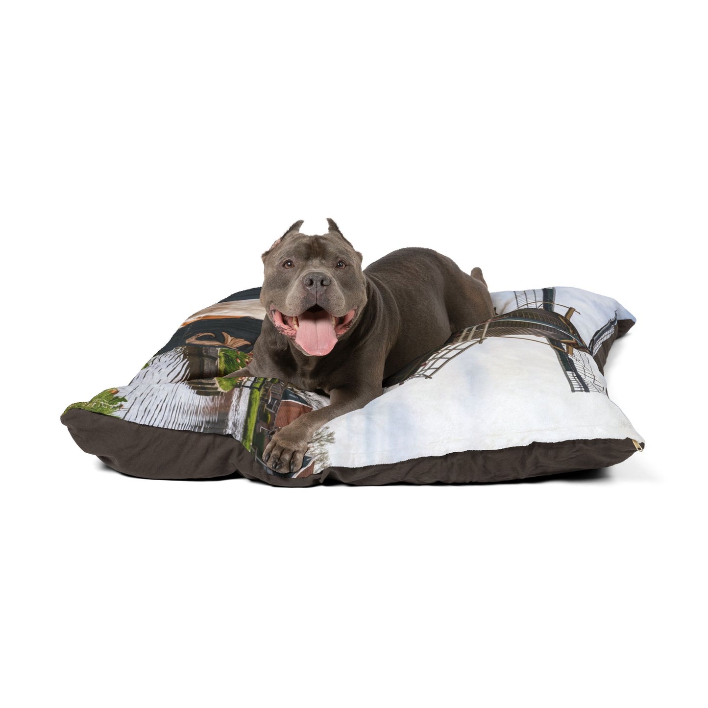 Nederlandse Kooikerhondje Pet Bed