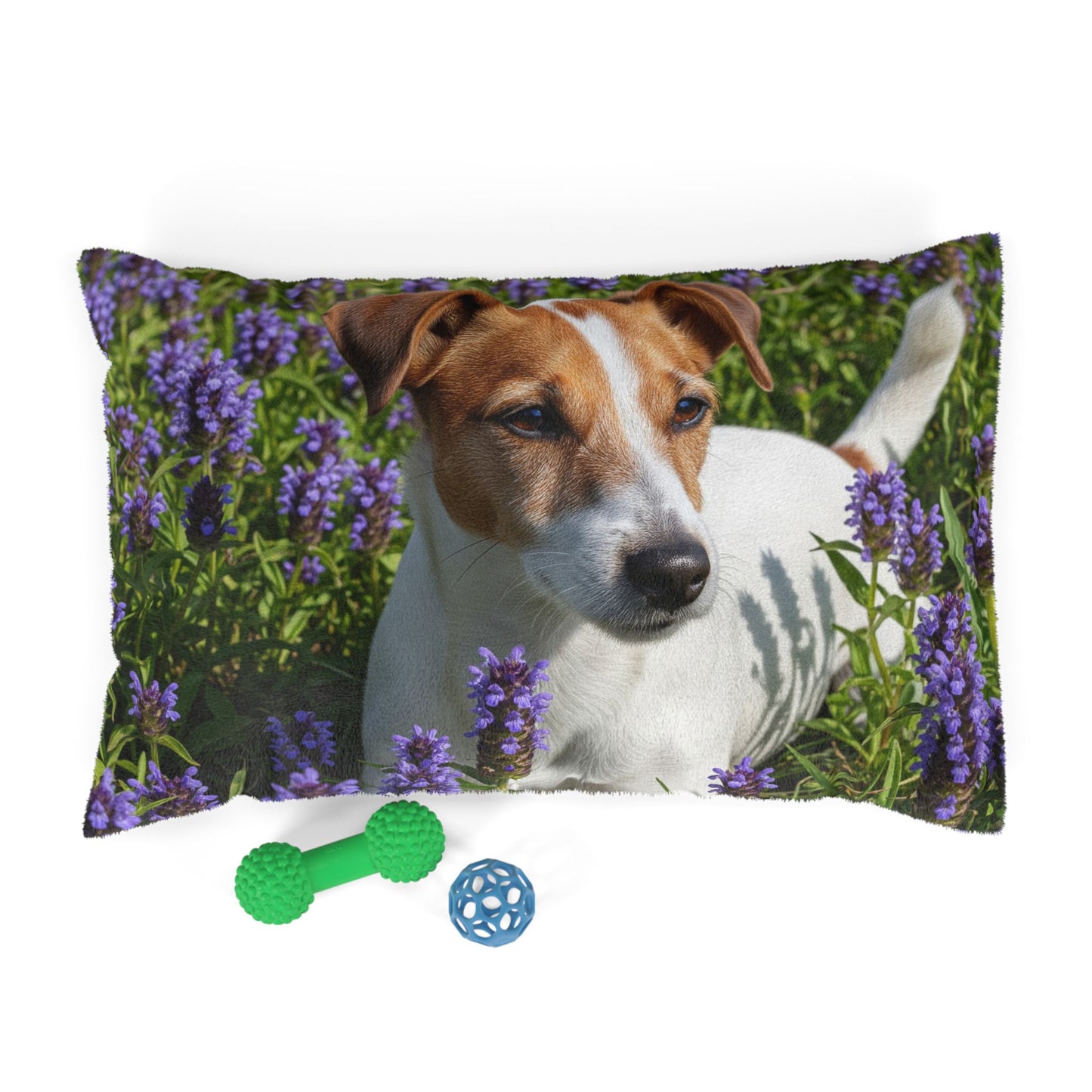 Jack Russell Terrier Pet Bed
