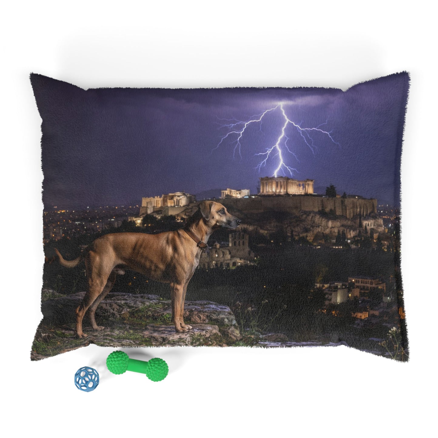 Kritikos Lagonikos Pet Bed