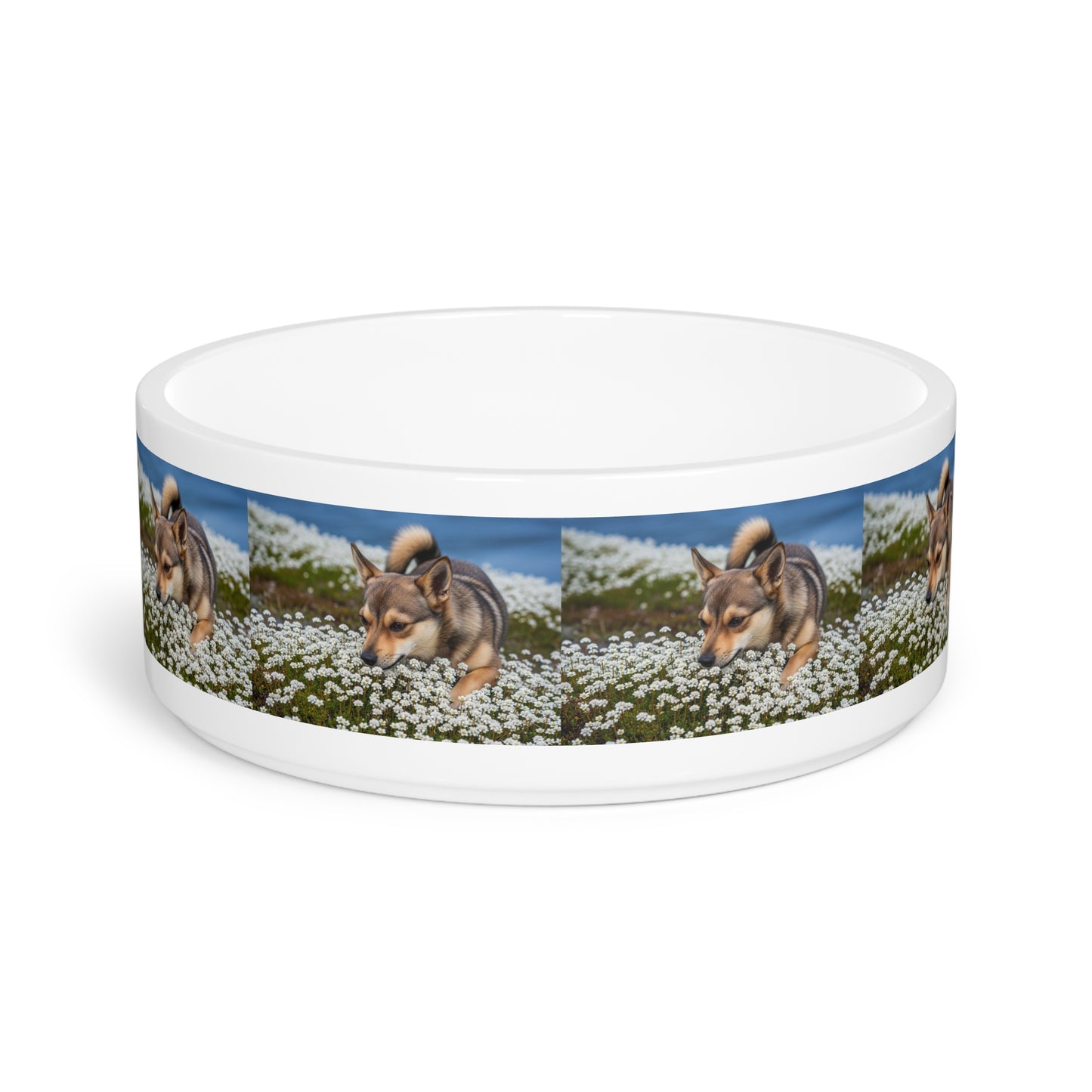 Norwegian Lundehund Pet Bowl