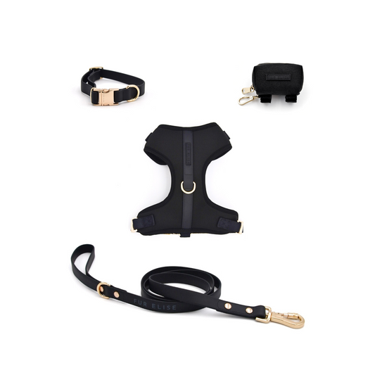 El set de paseo Essentials - Noir