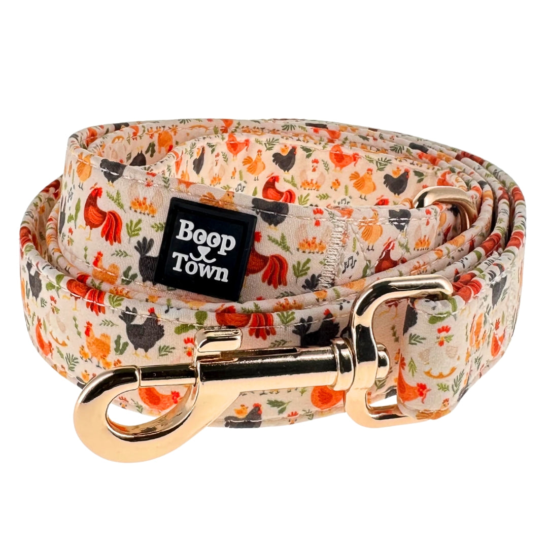 laisses pour chiens