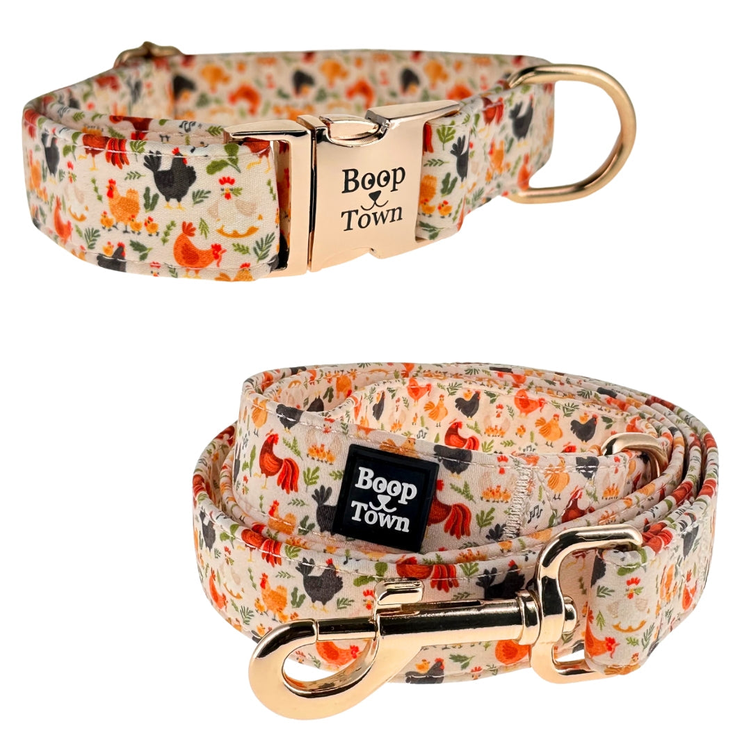 Ensembles collier et laisse pour chien