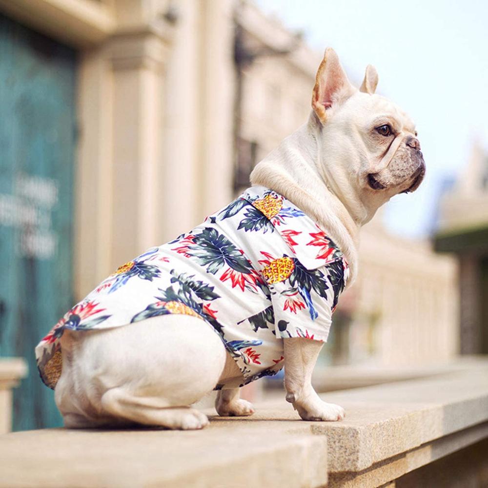 Camisas hawaianas para mascotas
