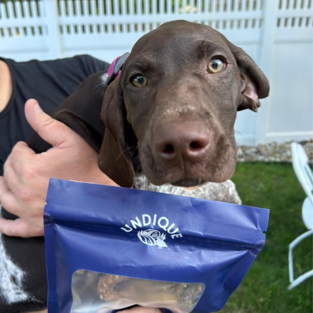 Bâtonnets croustillants à la caille pour chiens, 10 unités. Friandises déshydratées gourmandes et saines pour l'entraînement des chiens, saveurs premium favorisant une bonne hygiène dentaire, sans additifs artificiels pour des animaux heureux.