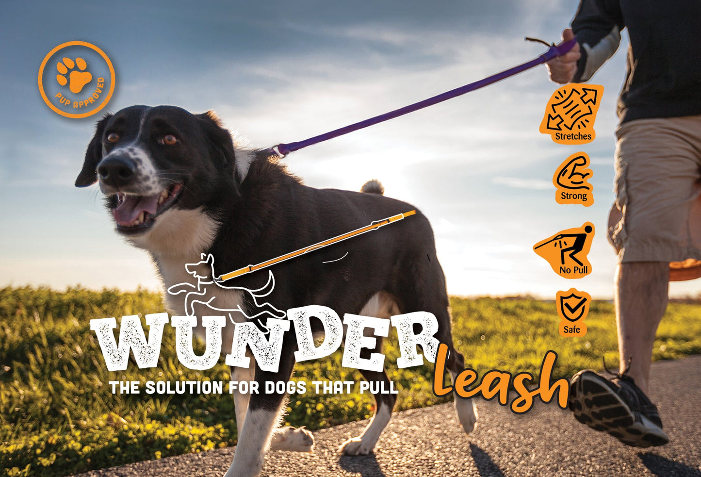 WUNDERleash de WACKYwalk'r: la correa antitirones original para perros 