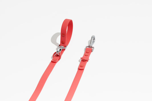 Laisse Luxe - Poppy