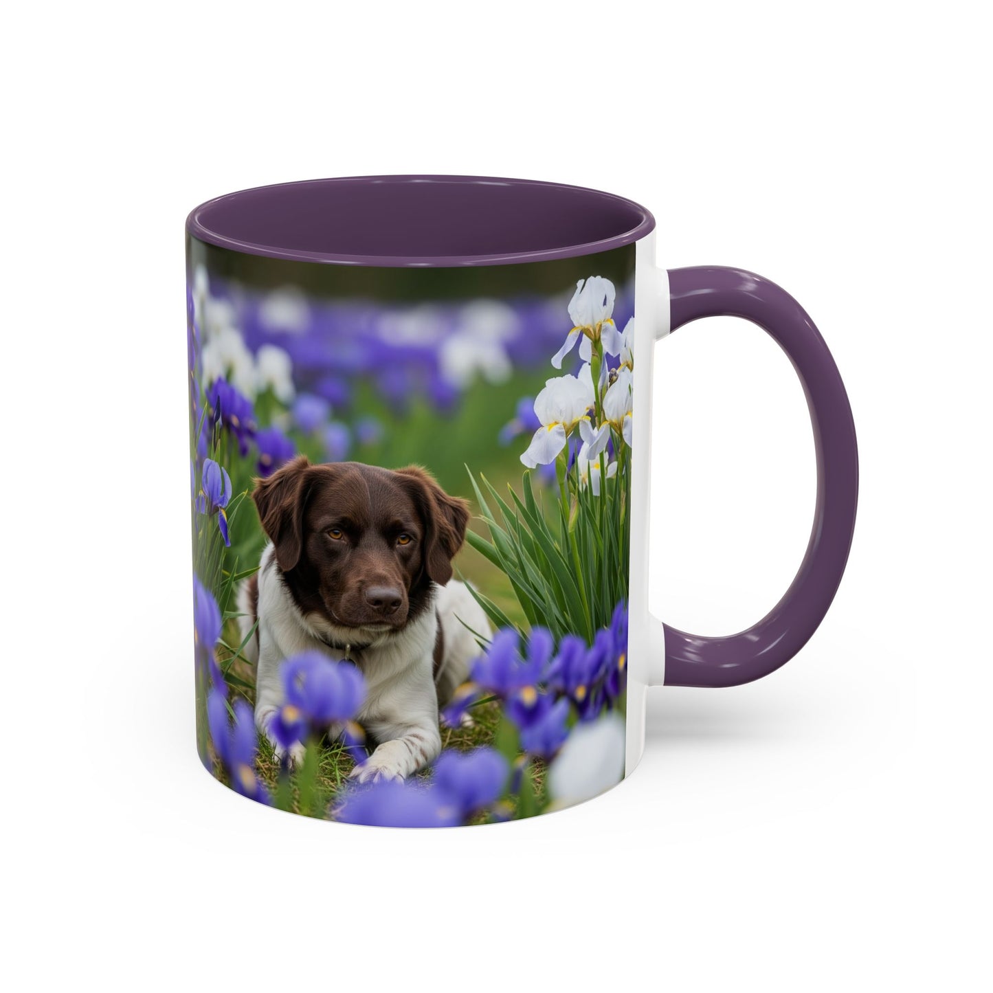 Mug Stabyhouns Accent - Cadeau idéal pour les amoureux des chiens