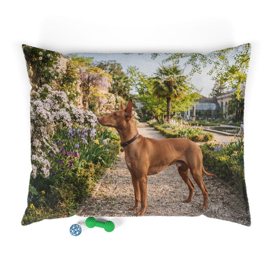 Cirneco dell'Etna Pet Bed