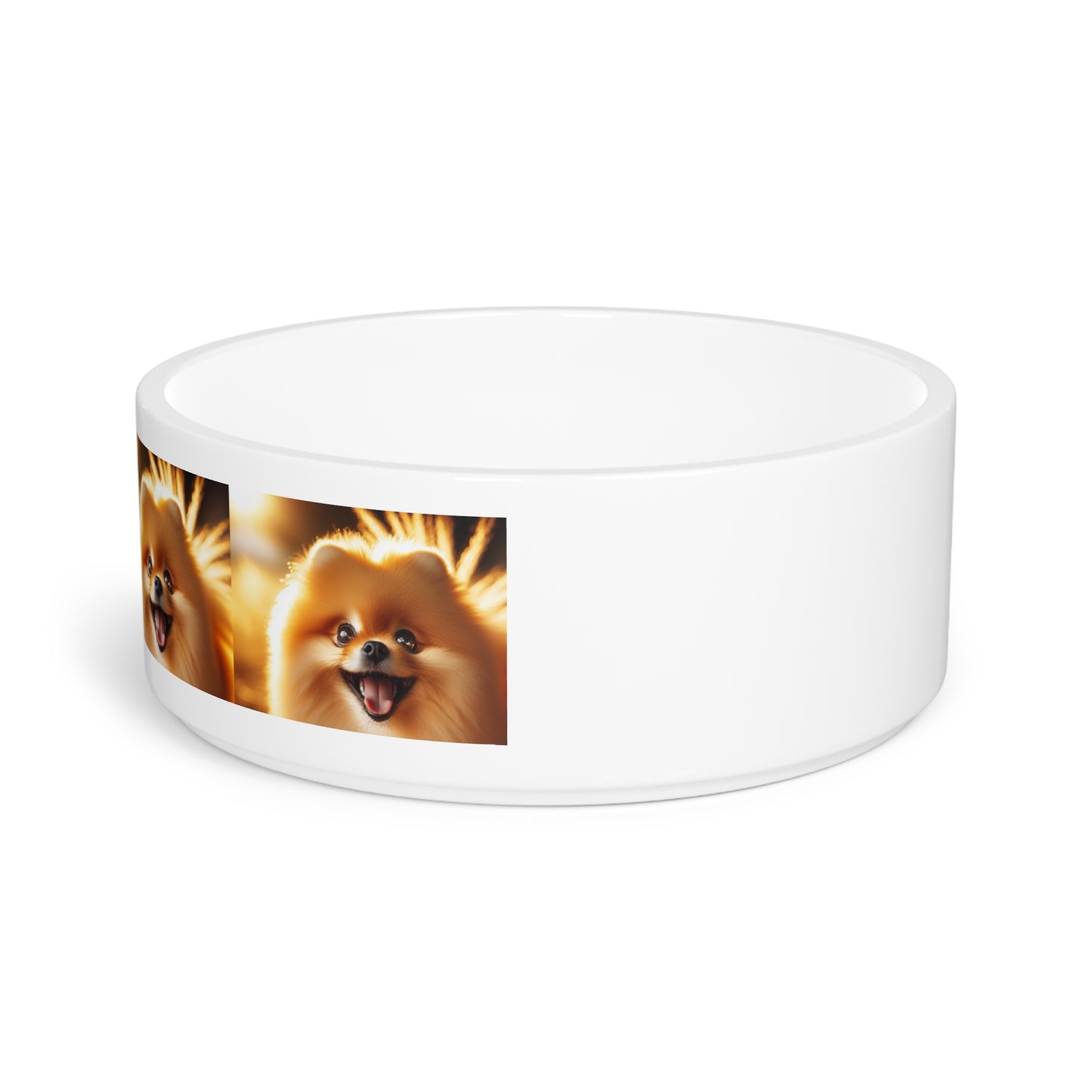 Pomeranian Pet Bowl