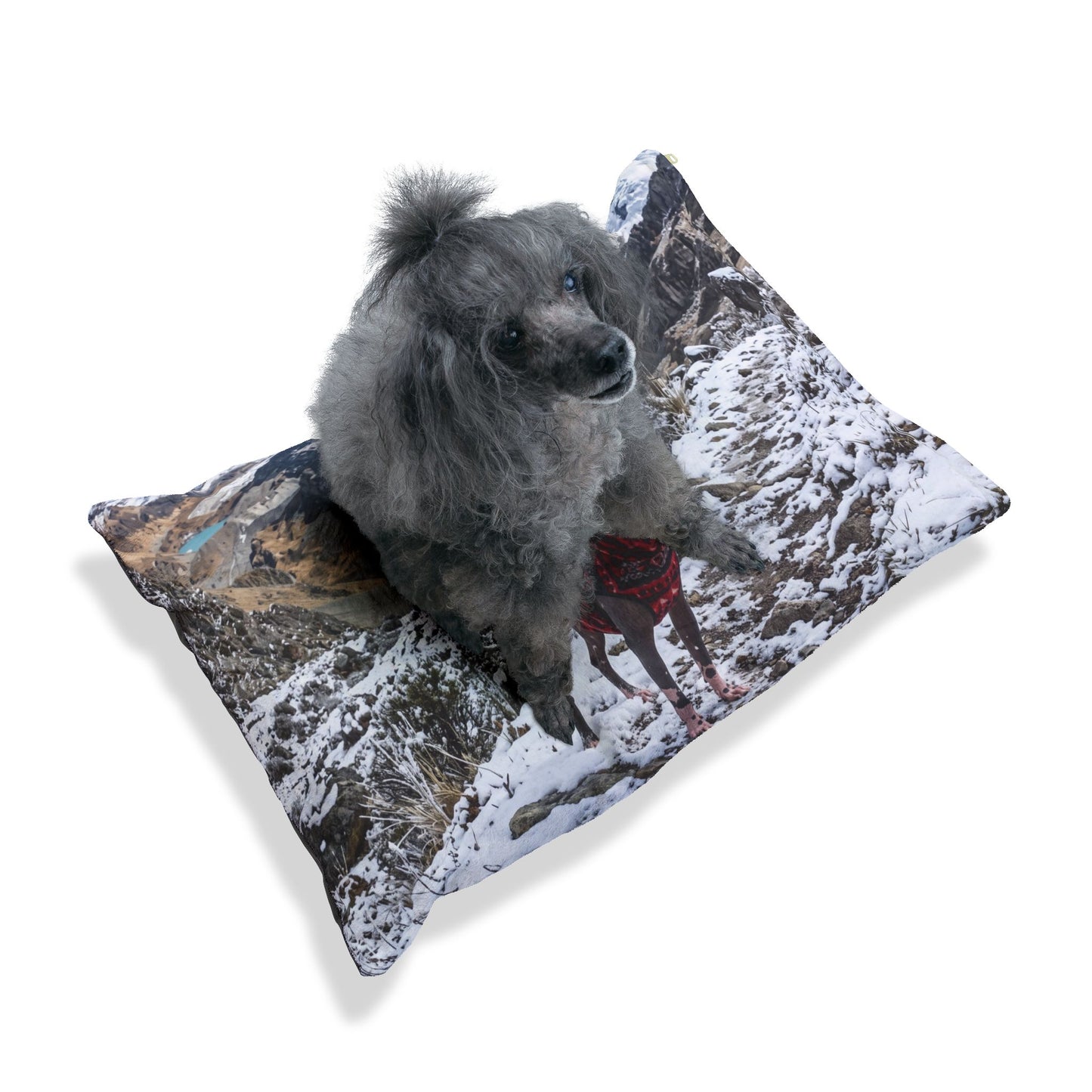 Peruvian Hairless Dog Pet Bed