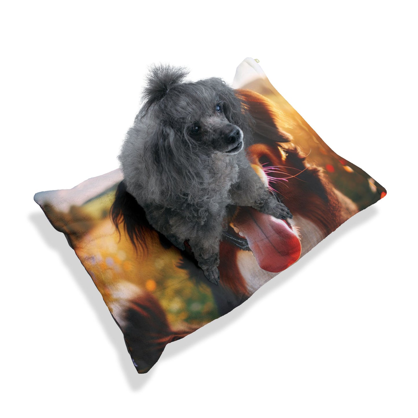 Bernese Mountain Dog Pet Bed