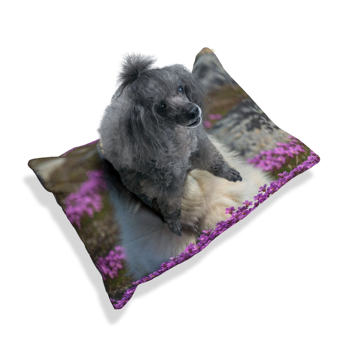 Canadian Eskimo Dog Pet Bed