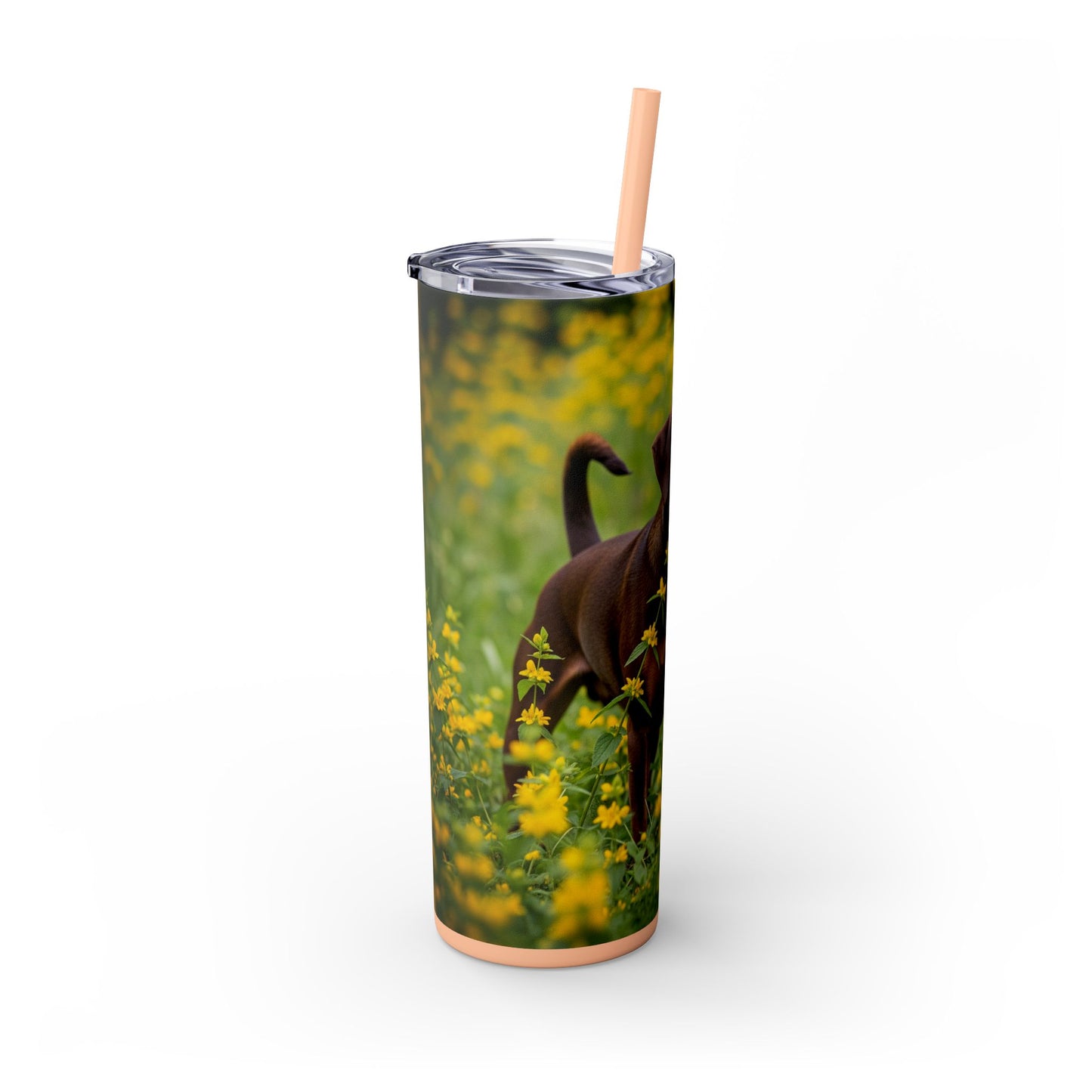 German Pinscher Tumbler with Straw, 20oz