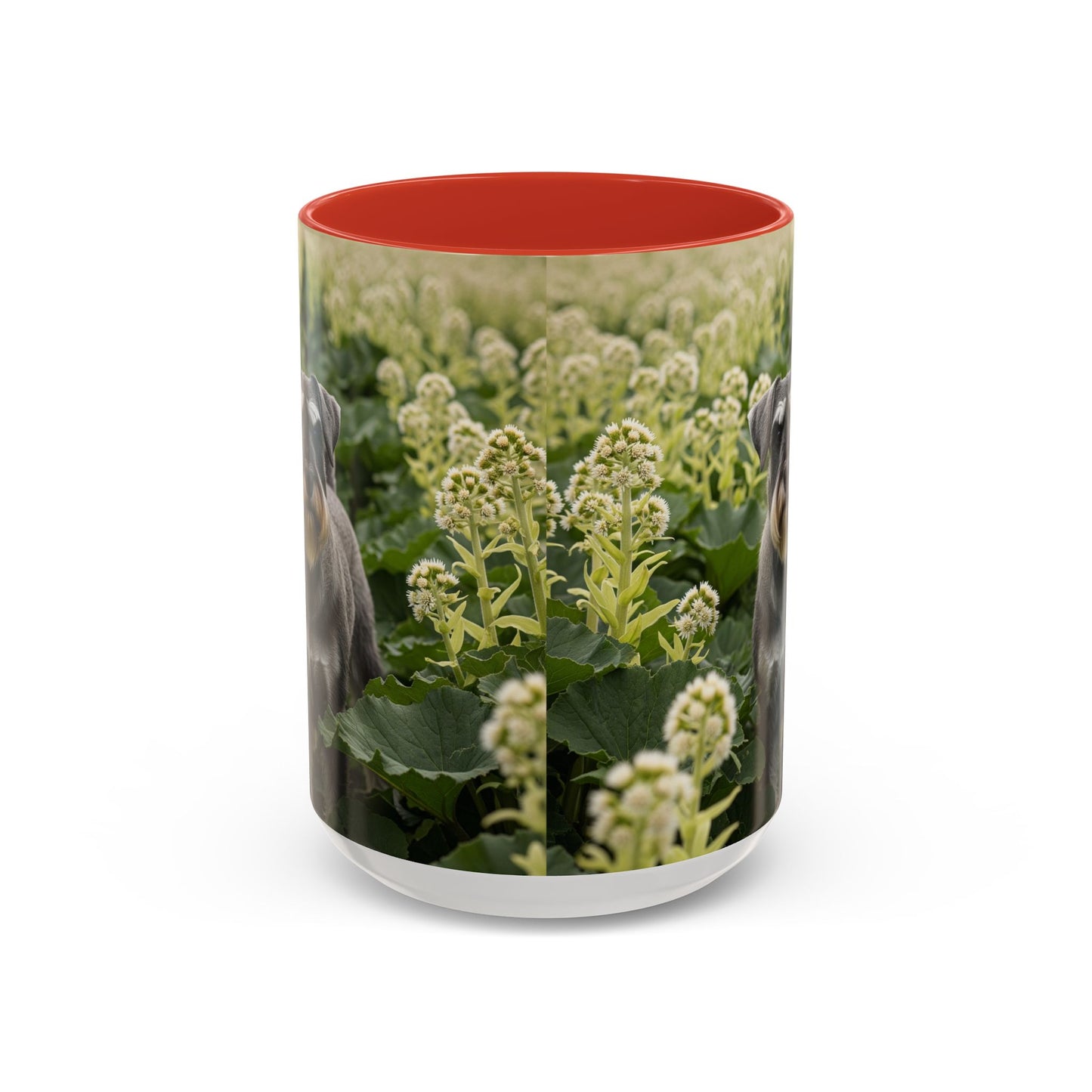 Mug à café avec motif Schnauzer standard - Cadeau idéal pour les amoureux des chiens