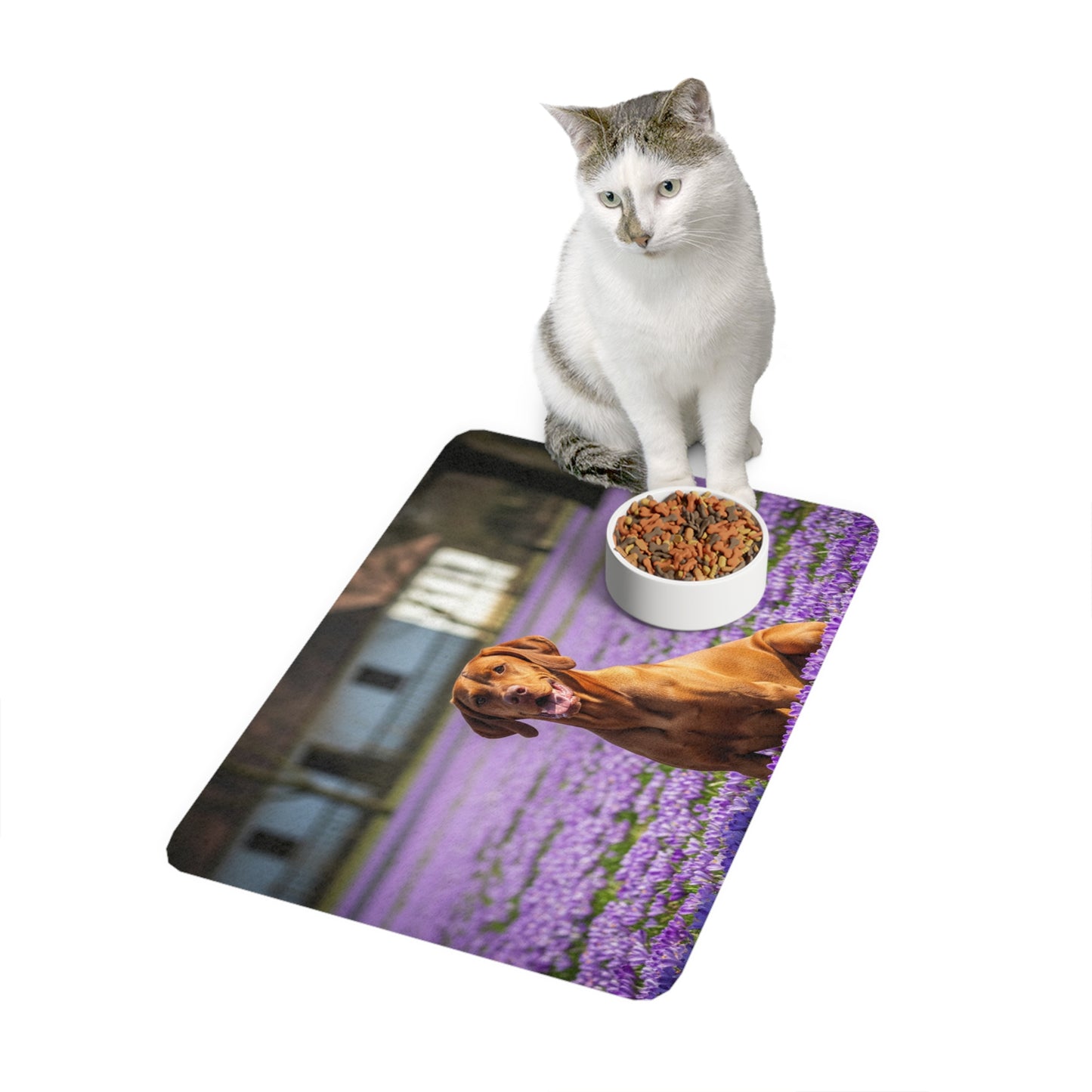 Pet Food Mat (12x18) - Vizsla