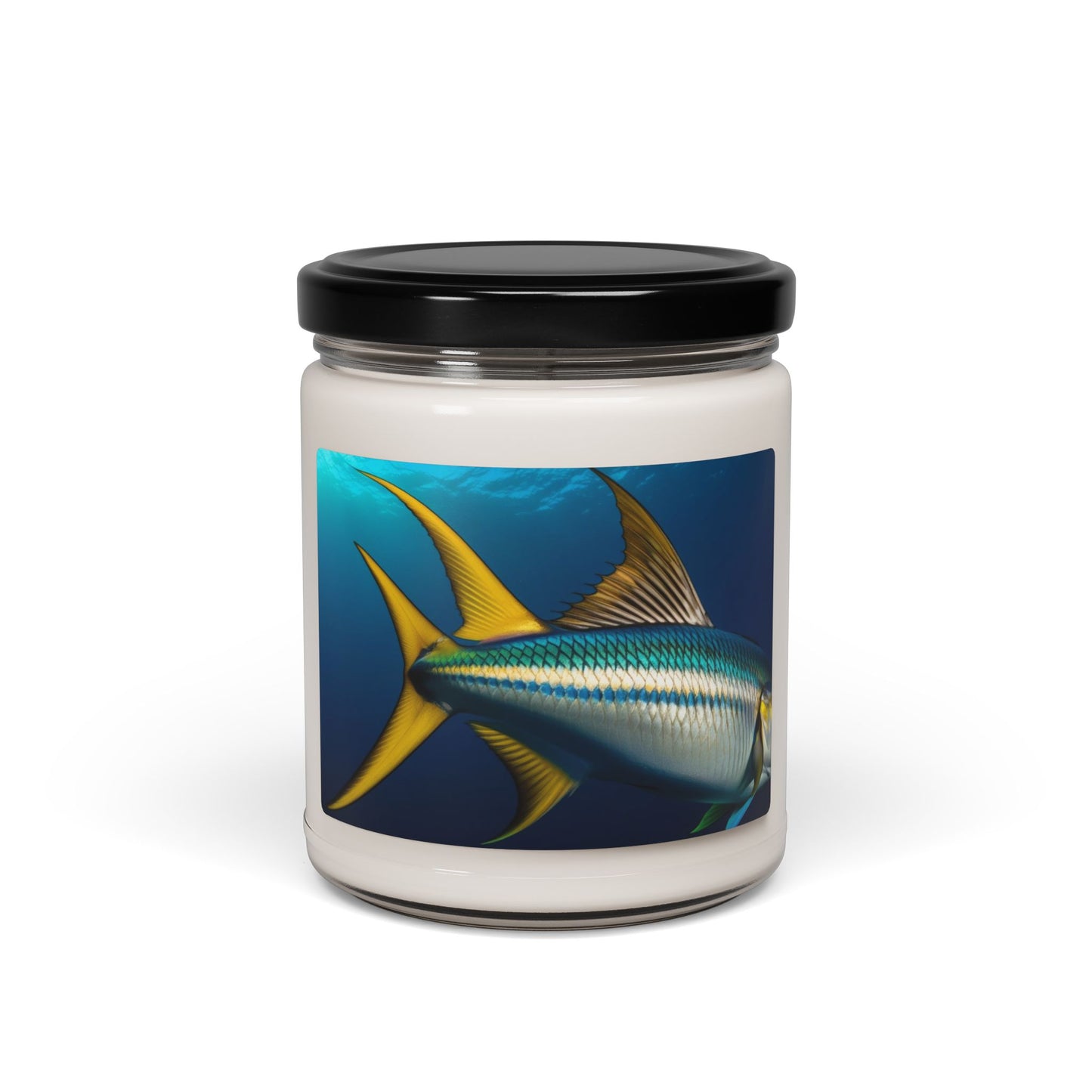 Close Up of a Sailfish's Fin- Scented Soy Candle, 9oz