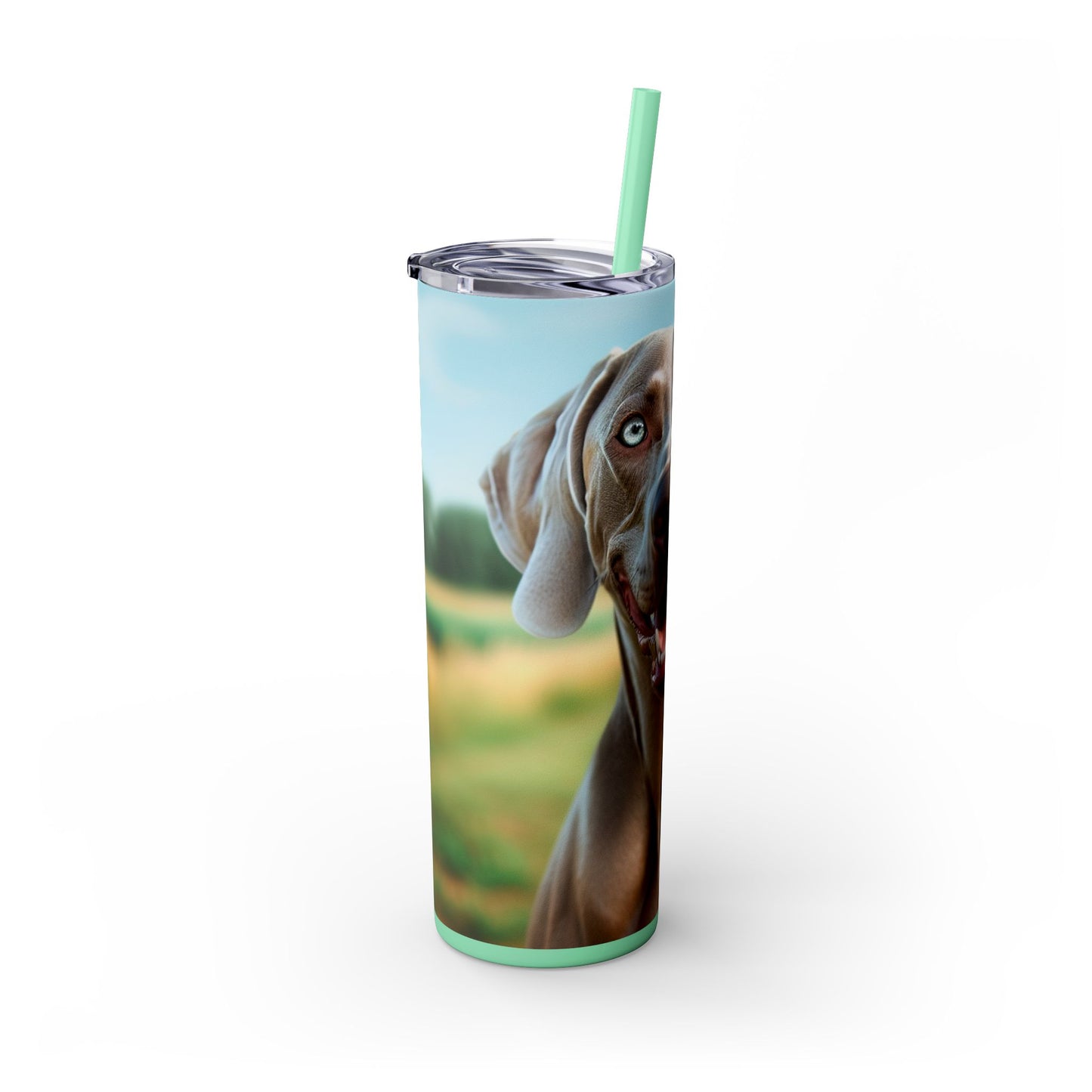 Weimaraner Skinny Tumbler with Straw, 20oz