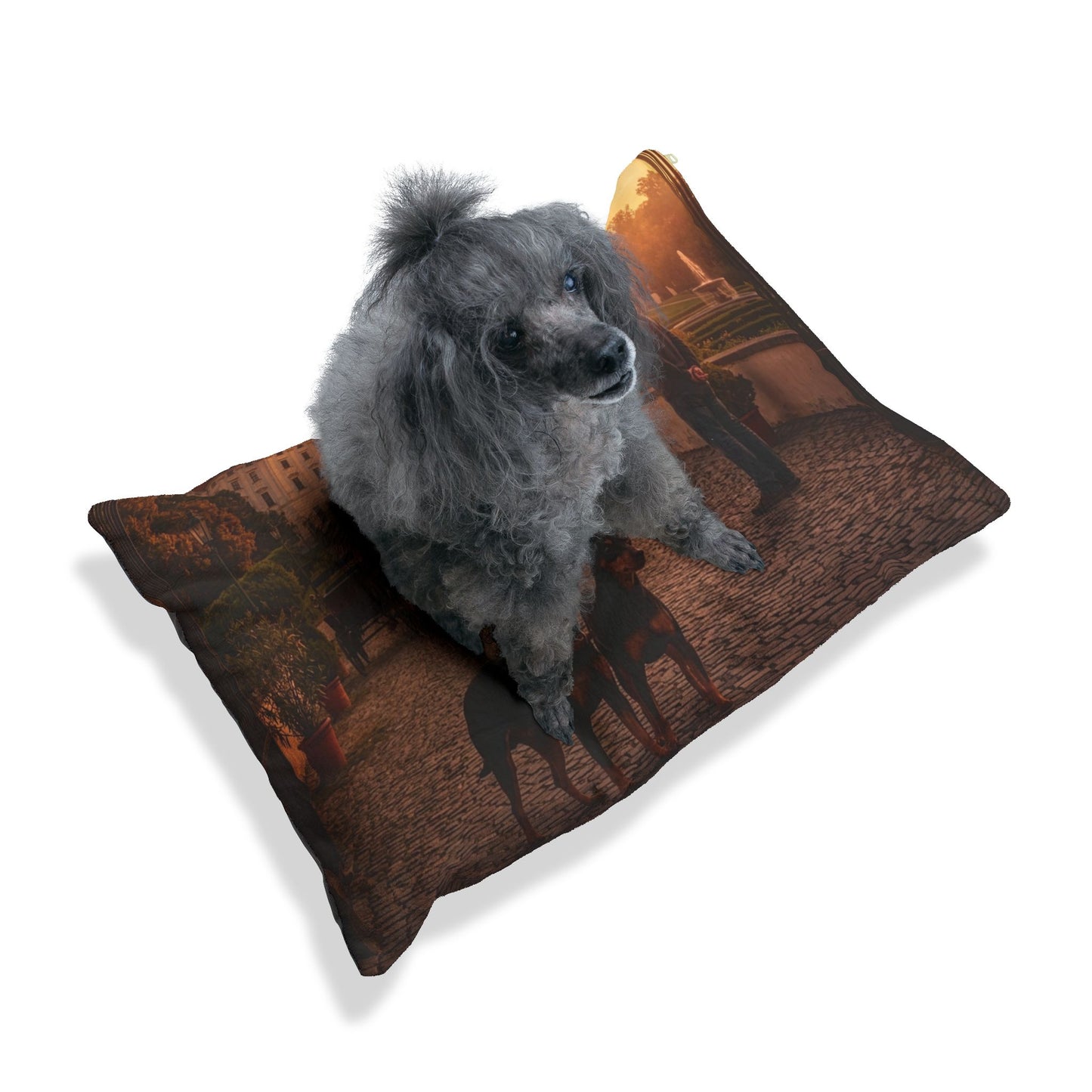 Pražský Krysařík Pet Bed