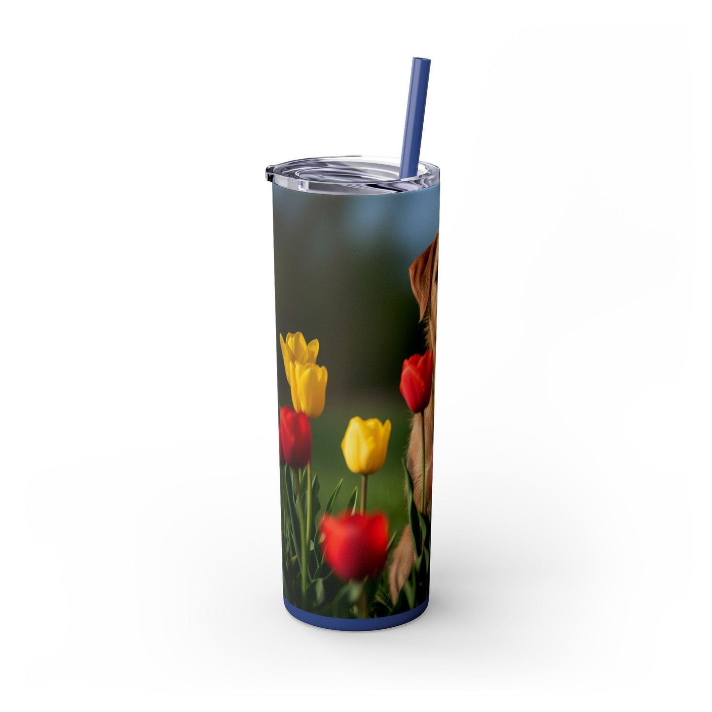 Pumi Skinny Tumbler with Straw, 20oz