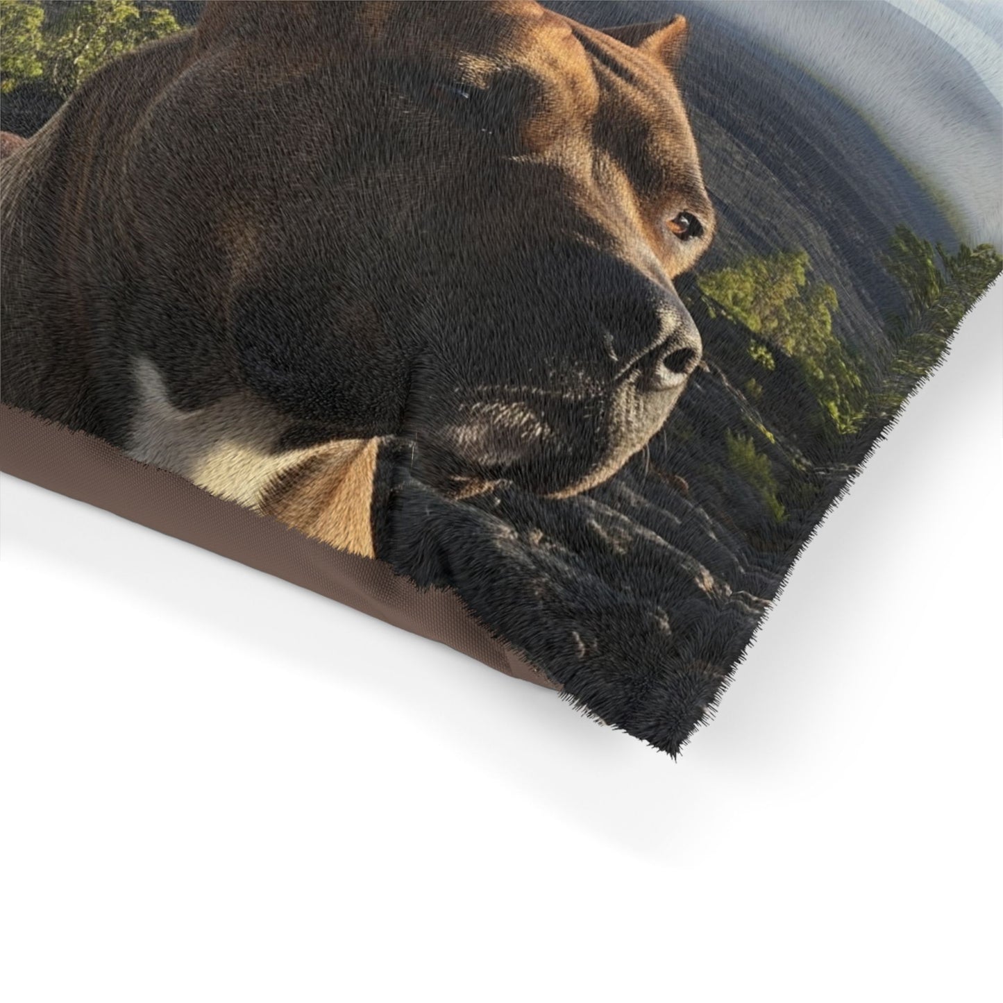 Pit Bull Pet Bed