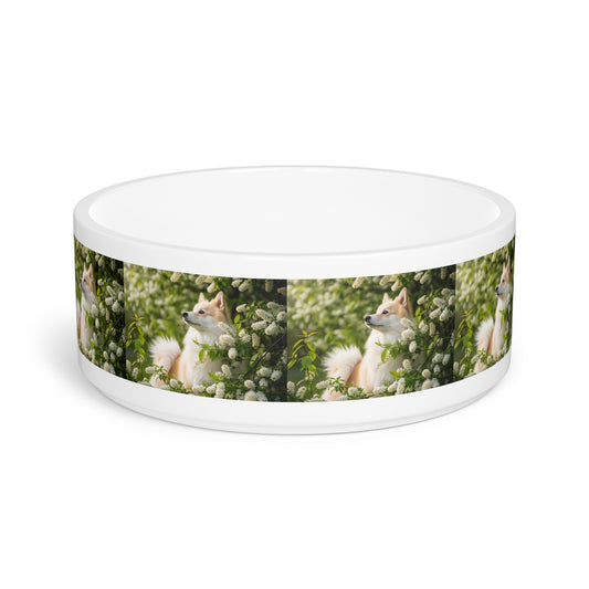 Finnish Spitz Pet Bowl
