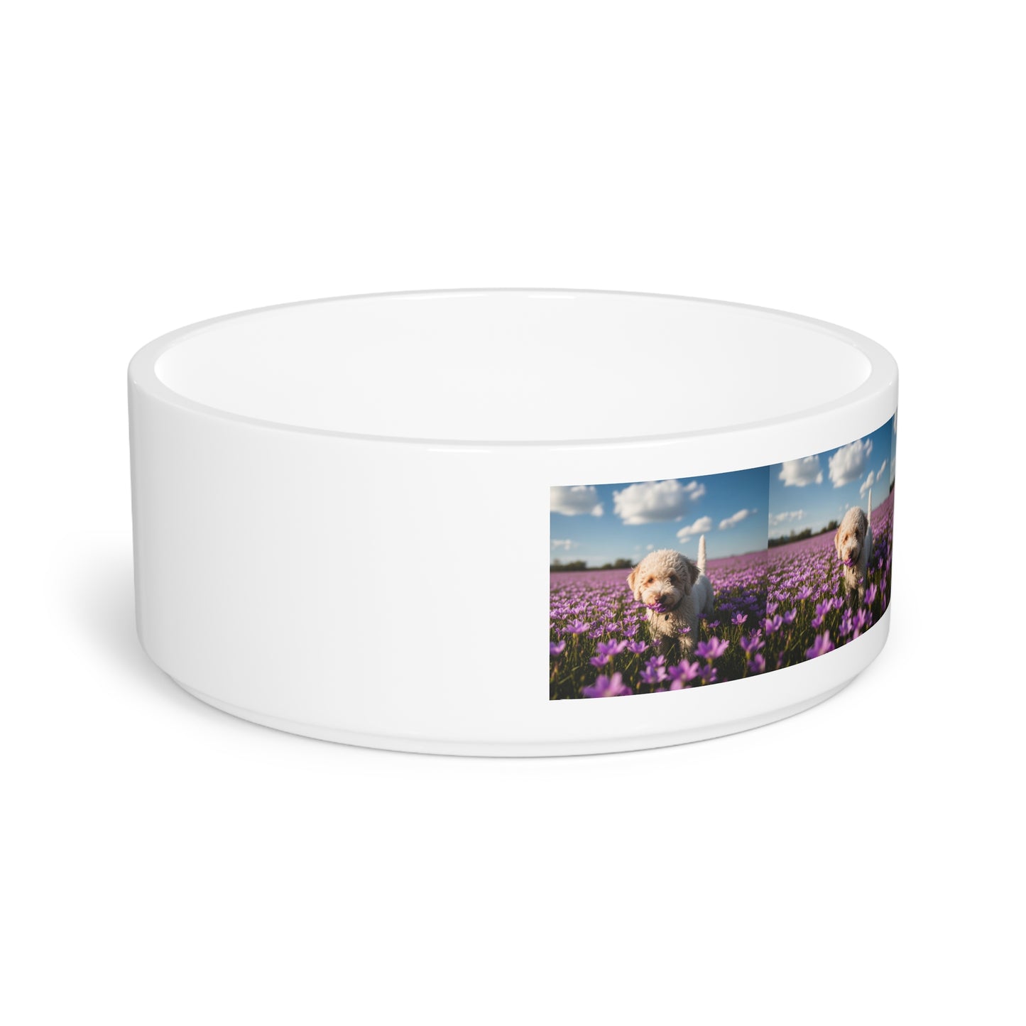 Lagotto Romagnolo Pet Bowl