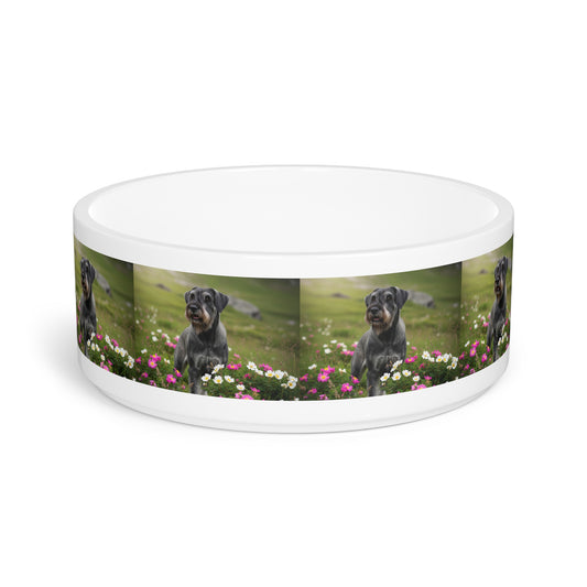 Giant Schnauzer Pet Bowl