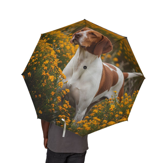 Portuguese Pointer Semi-Automatic Foldable Umbrella