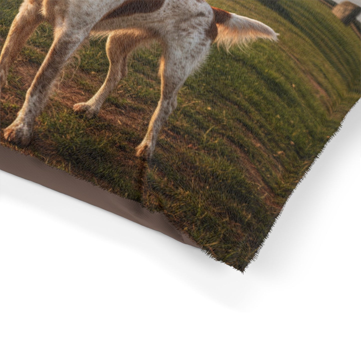 Brittany Spaniel Pet Bed