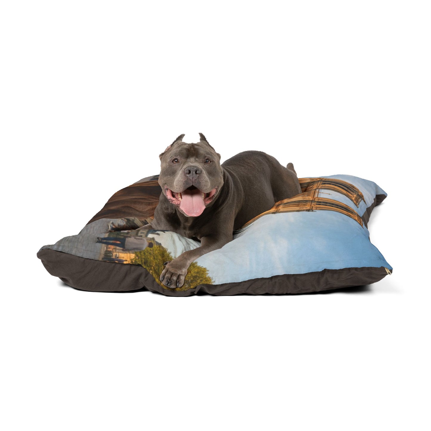 Pont-Audemer Spaniel Pet Bed