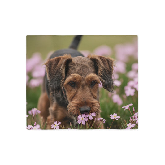 Cesky Terrier Sweatshirt Blanket