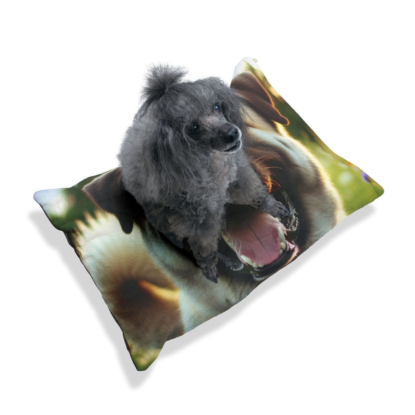 Kangal Shepherd Dog Pet Bed