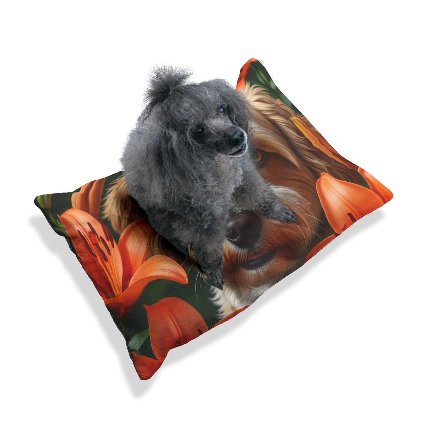 Lit pour animaux Schnoodle