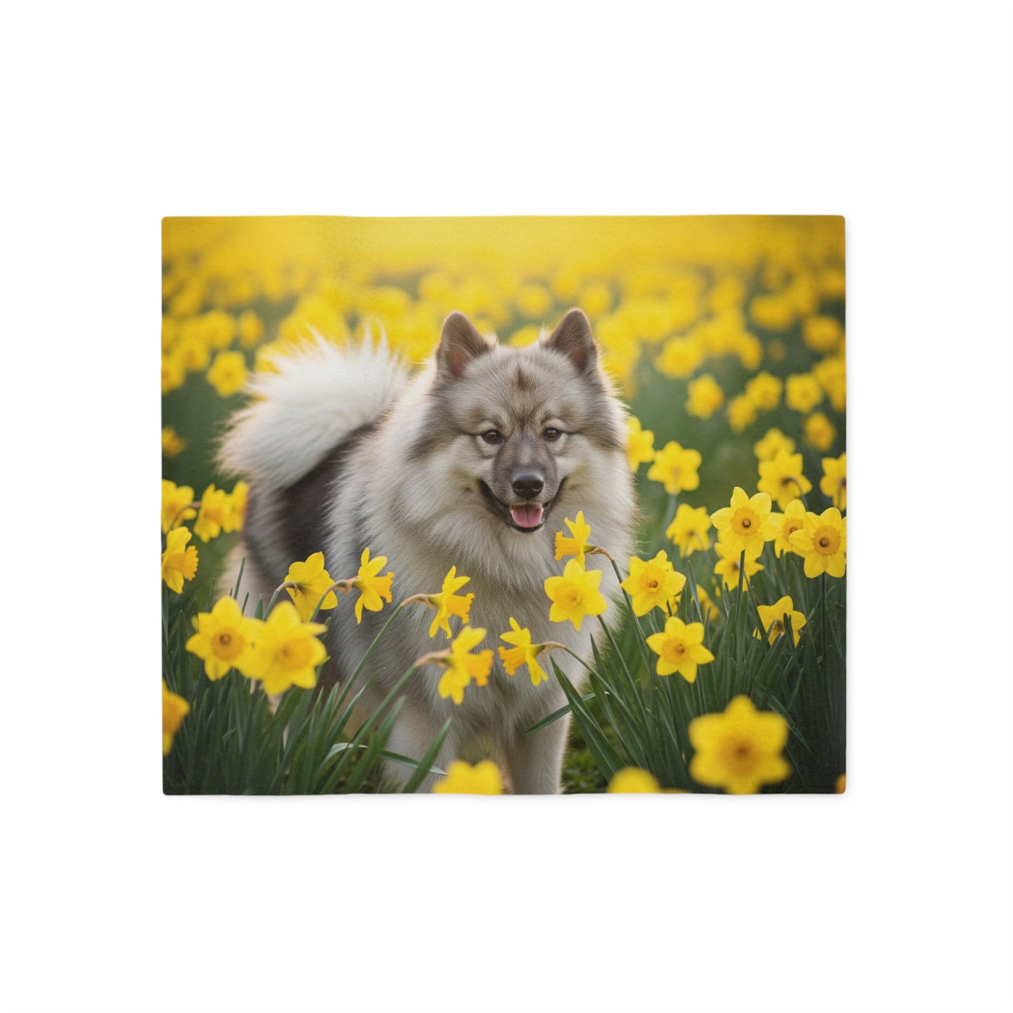Manta de sudadera Keeshond