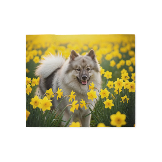 Keeshond Sweatshirt Blanket