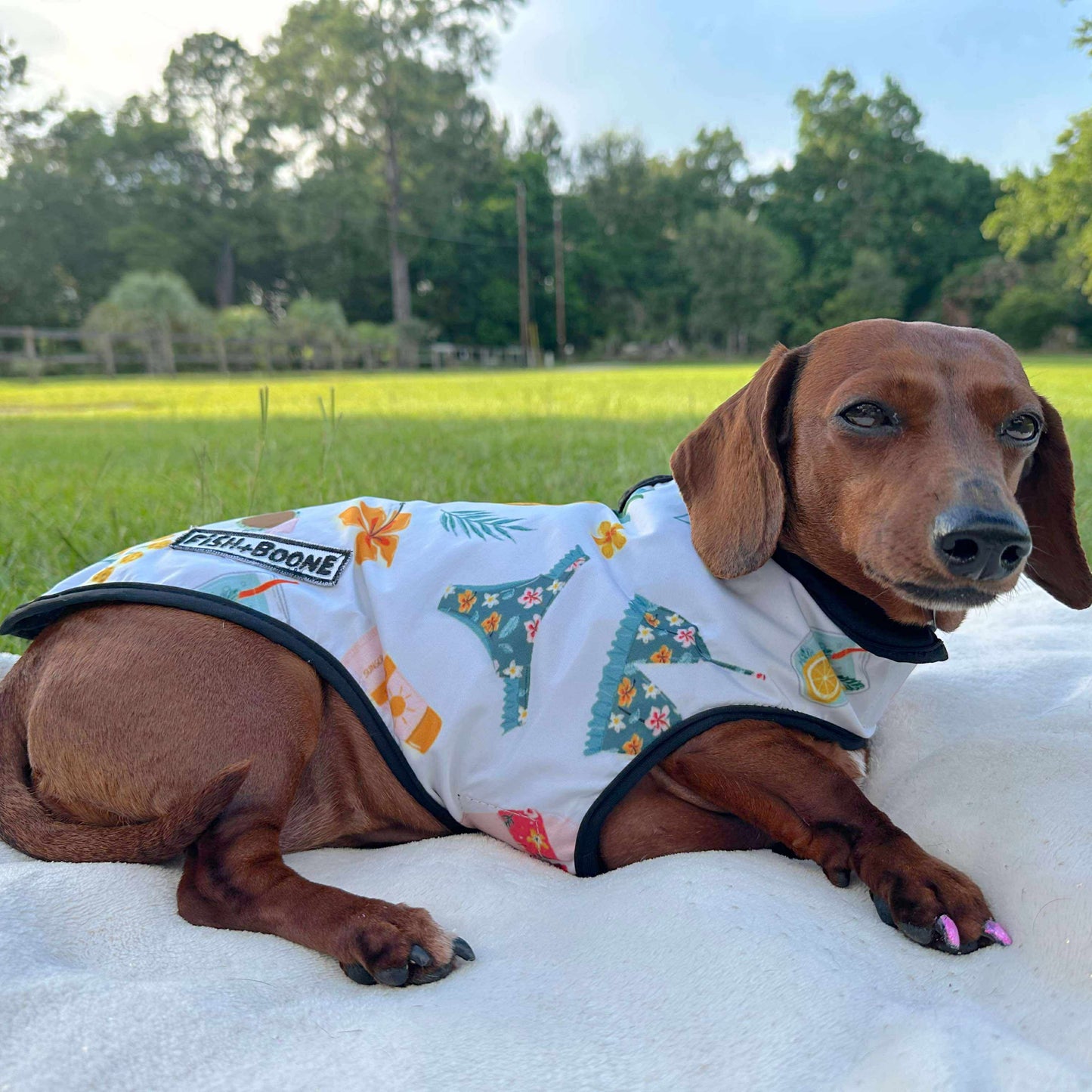 Abrigo para perros Cabana Club
