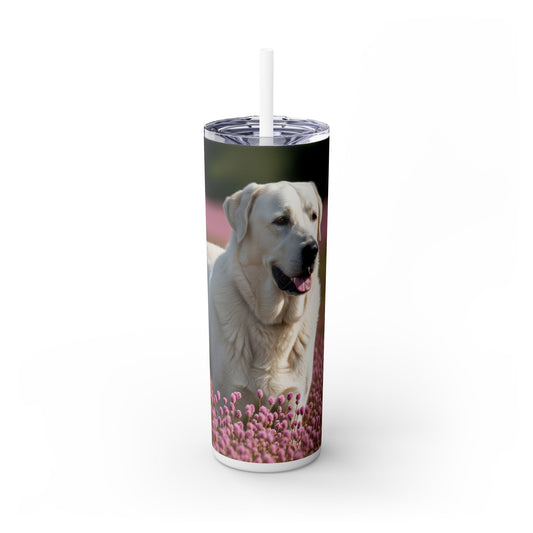 Anatolian Shepherd Dog Tumbler with Straw, 20oz