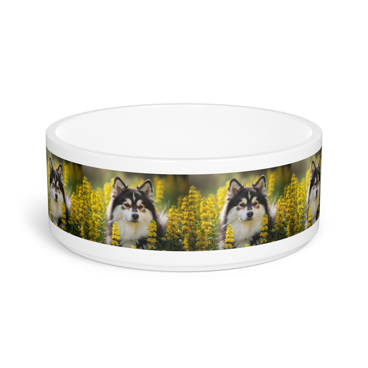 Swedish Lapphund Pet Bowl