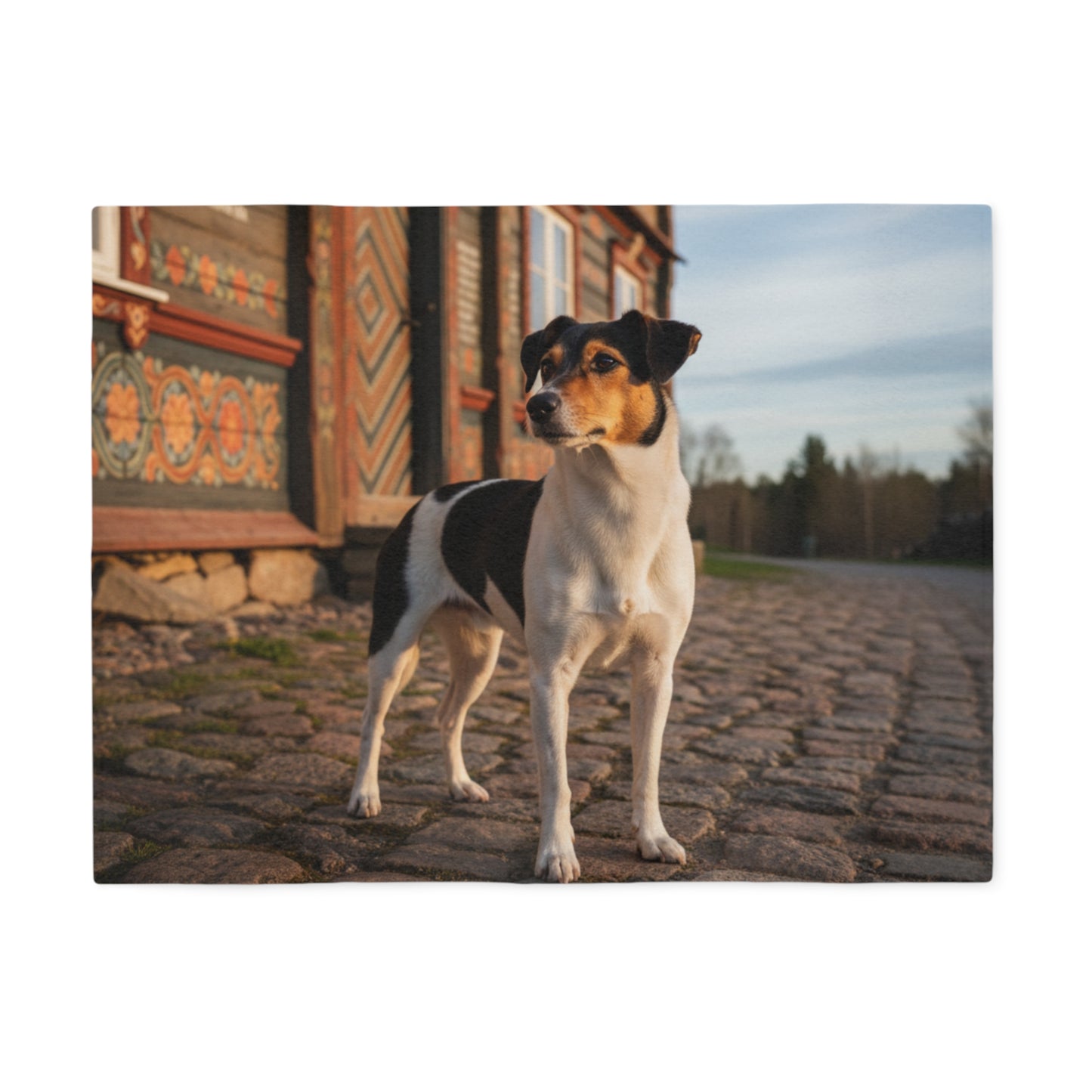 Danish–Swedish Farmdog Blanket