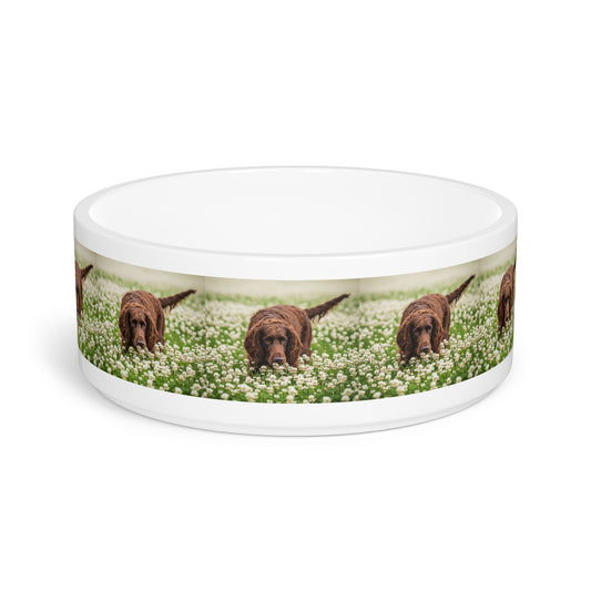Irish Water Spaniel Pet Bowl