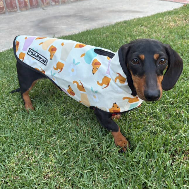 Manteau pour chien Teckels et Marguerites