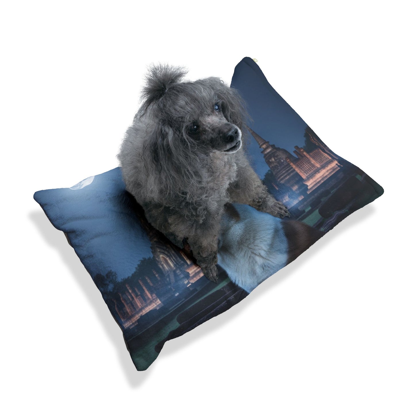Thai Bangkaew Dog Pet Bed
