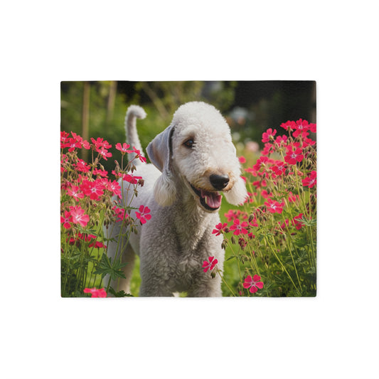 Bedlington Terrier Sweatshirt Blanket