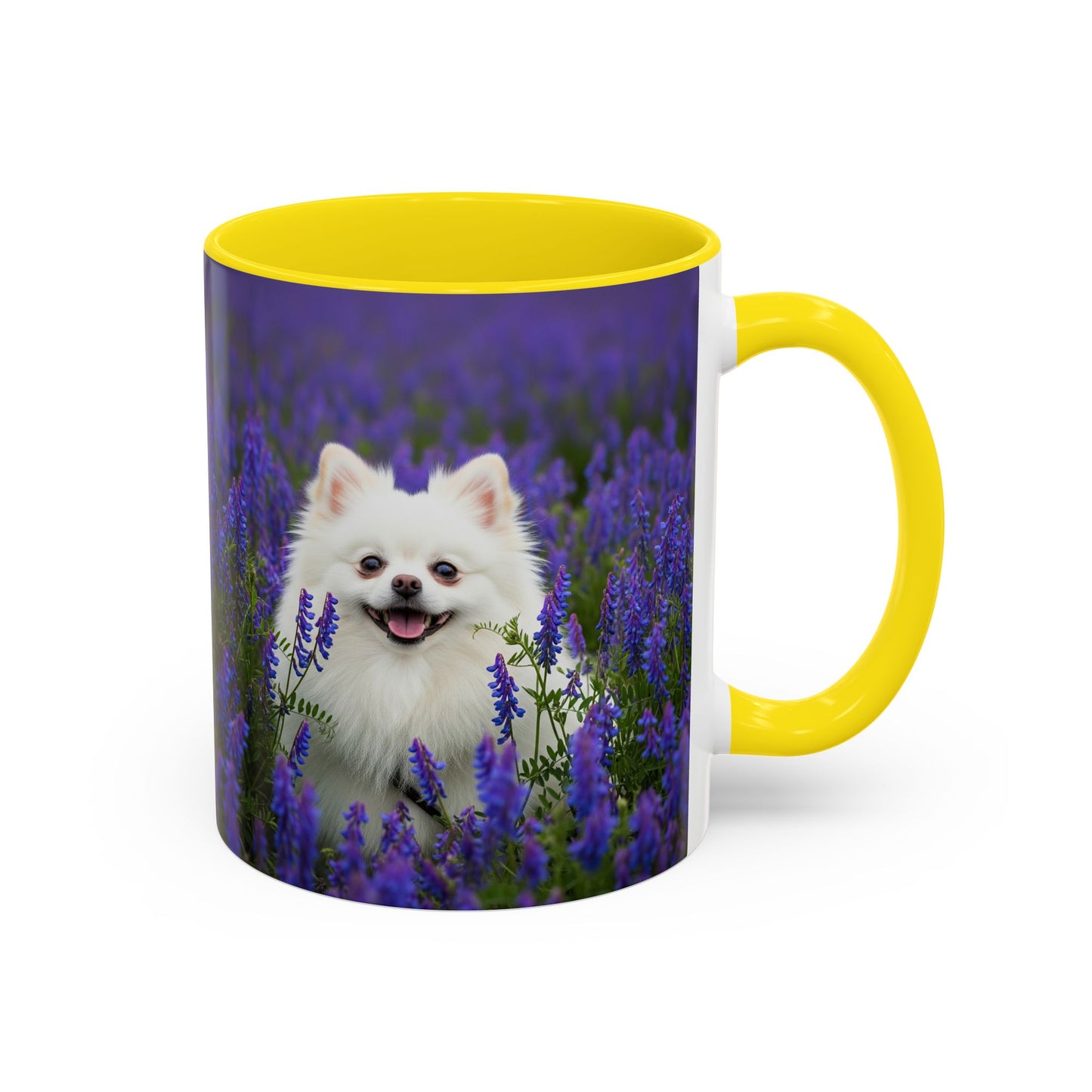 Mug à café avec motif Poméranien - Le cadeau idéal pour les amoureux des chiens