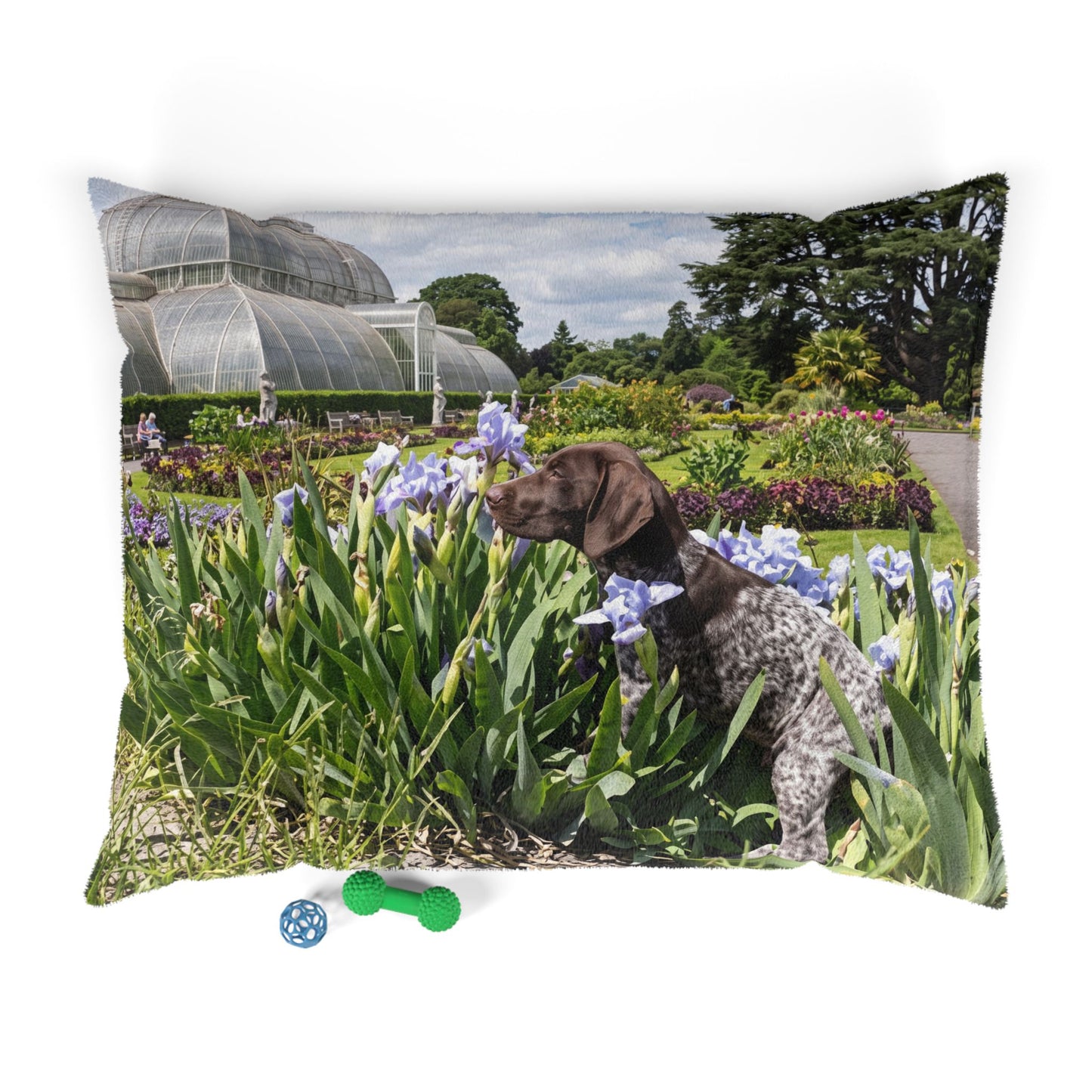 Pointer Dog Pet Bed