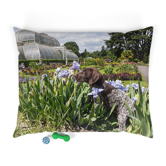Pointer Dog Pet Bed